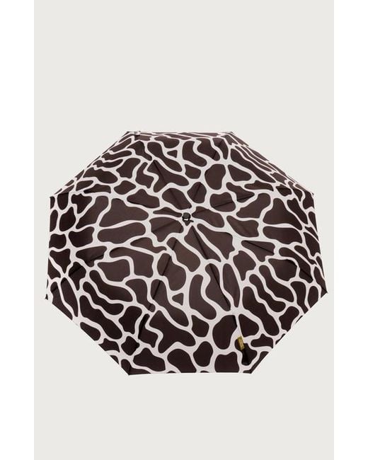 Original Duckhead Black Compact Umbrella With Automatic Open-Close Function