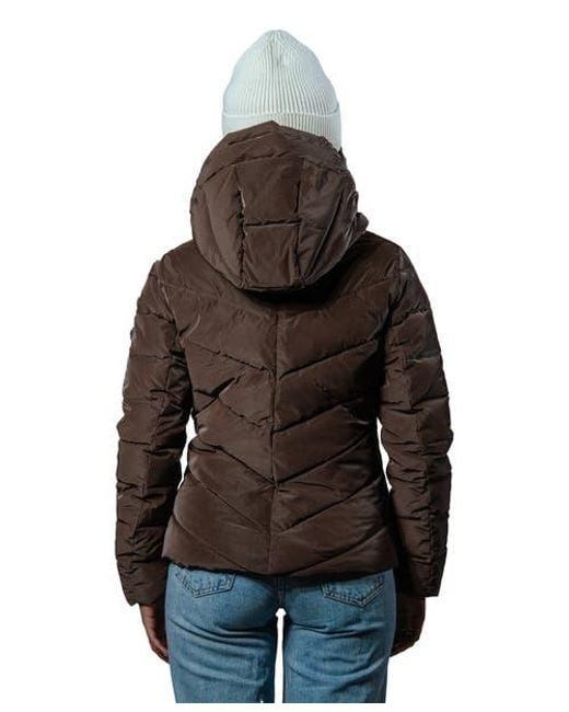 Woodpecker Brown Robin Medium Weight Coat
