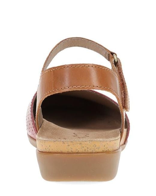 Dansko Multicolor Rowan Flat