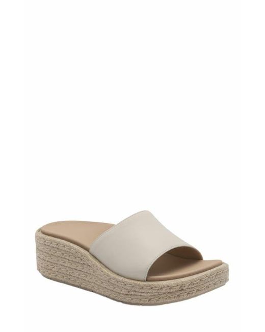 ABEO Gray Solstice Slide