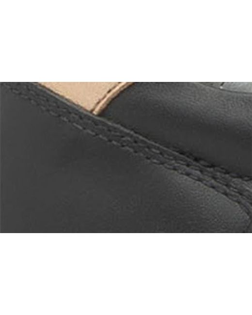 Nero Giardini Black Studded Platform Sneaker
