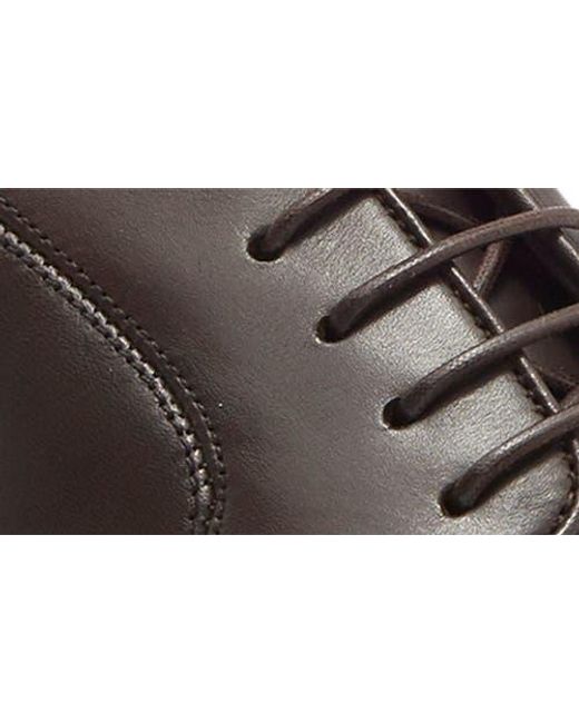 Ferragamo Brown Leather Derby for men