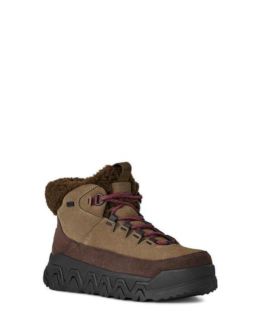 Ugg Brown Terretrail Cozy Waterproof Winter Boot