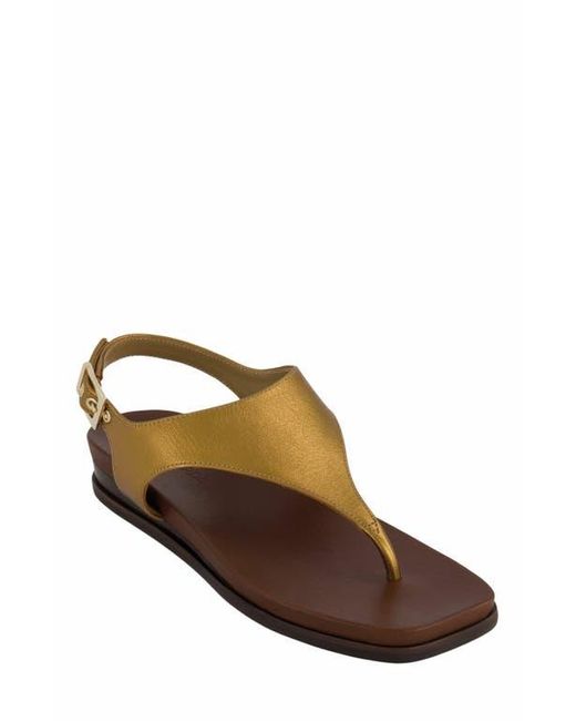 Bernardo Brown Concord Demi-Wedge Sandal