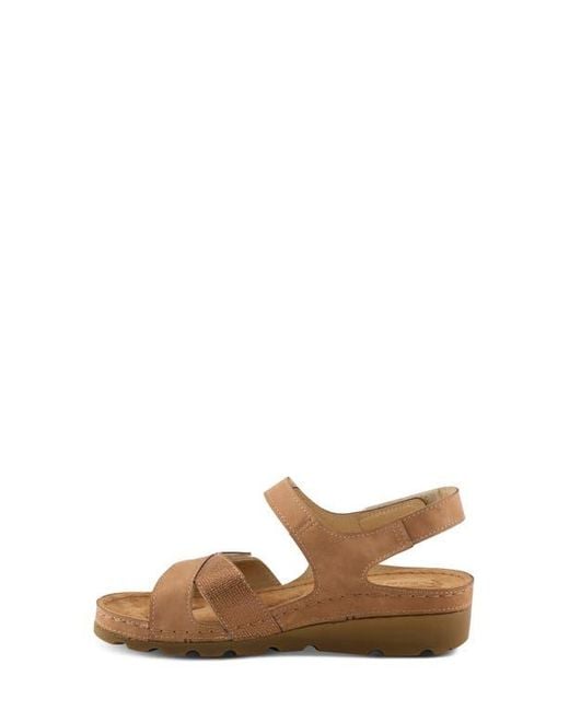 Flexus by Spring Step Brown Orwell Sandal