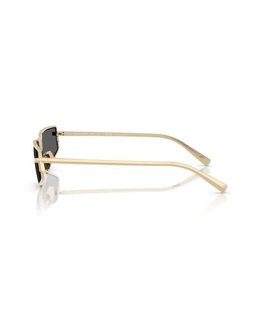 Tiffany & Co Multicolor 60Mm Irregular Rectangular Sunglasses
