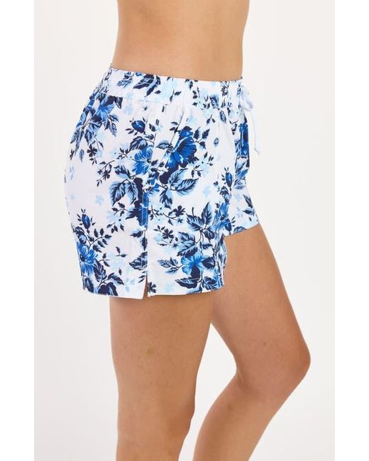Calypsa Blue Plus Size 2-3 Board Shorts