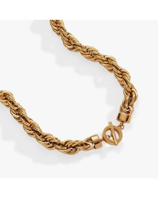 ALEX AND ANI Metallic Large Rope Chain Toggle Necklace