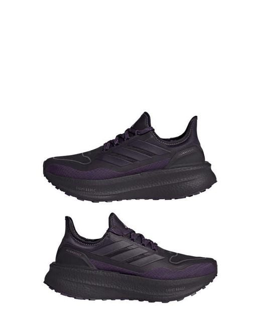 Adidas Blue Ultraboost 5 Gtx Running Shoe