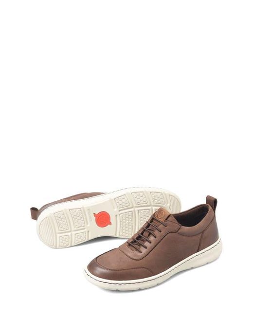 Børn Brown Conrad Ii Sneaker for men
