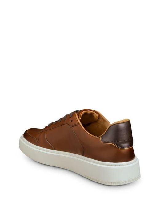 Allen Edmonds Brown Owen Sneaker for men