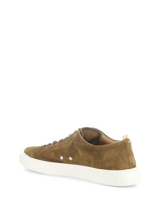 Ambitious Brown 13797 Low Top Sneaker for men