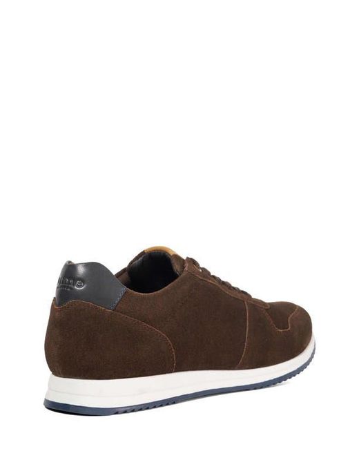 Dune Brown Toulous for men