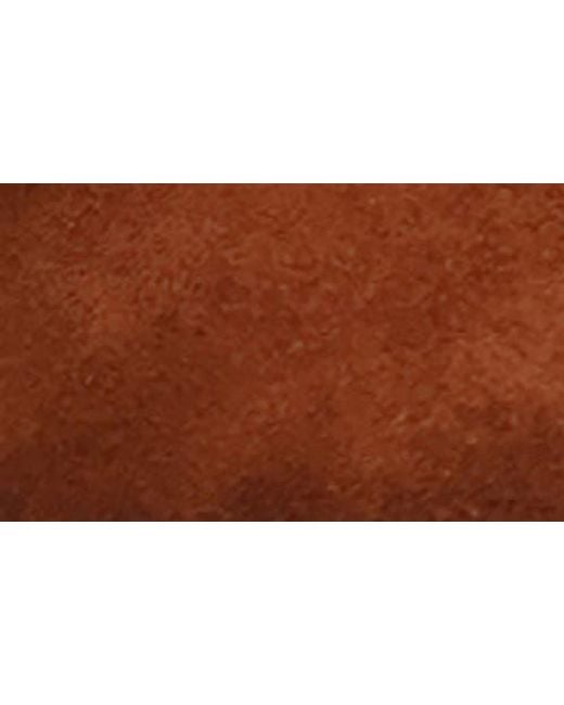Dingo Brown Songbird Western Boot