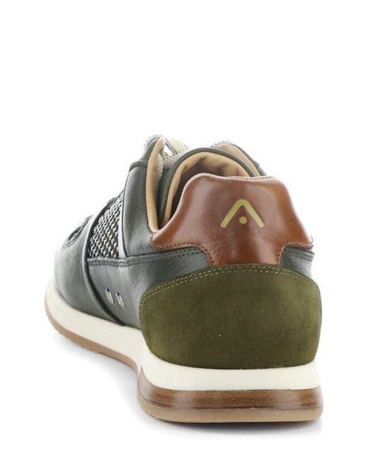 Ambitious Multicolor 11240 Perforated Sneaker for men
