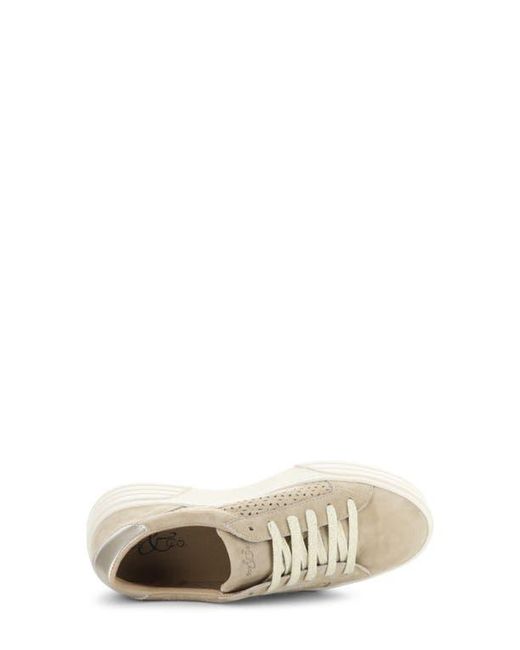 Bos. & Co. White Lotta Platform Sneaker