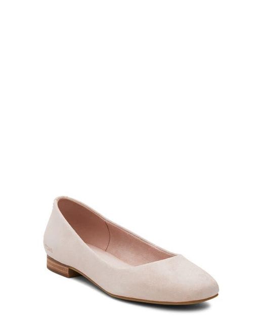 TOMS Pink Briella Ballet Flat