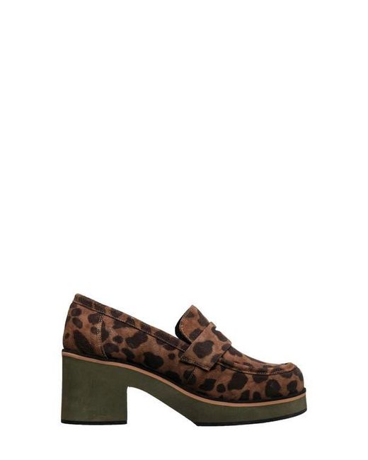 Antelope Brown Ivy Loafer Pump