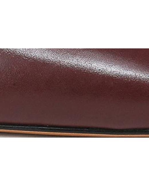 Vince Brown Gilia Strappy Pointed Toe Flat Mule