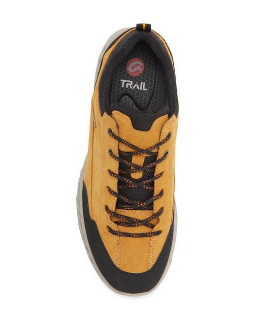 Ara Multicolor Petro Waterproof Sneaker for men