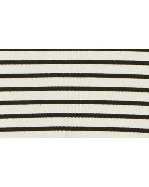 Bebe Multicolor Stripe Rib Body-Con Minidress