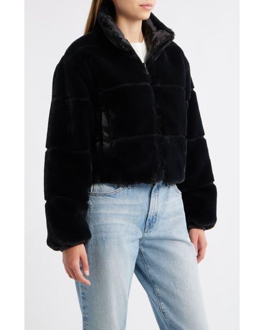 Save The Duck Black Yuki Reversible Jacket