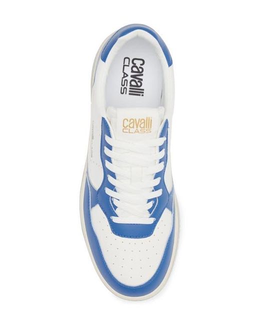 Roberto Cavalli Blue Cavalli Class Two-Tone Perforated Low Top Sneaker for men