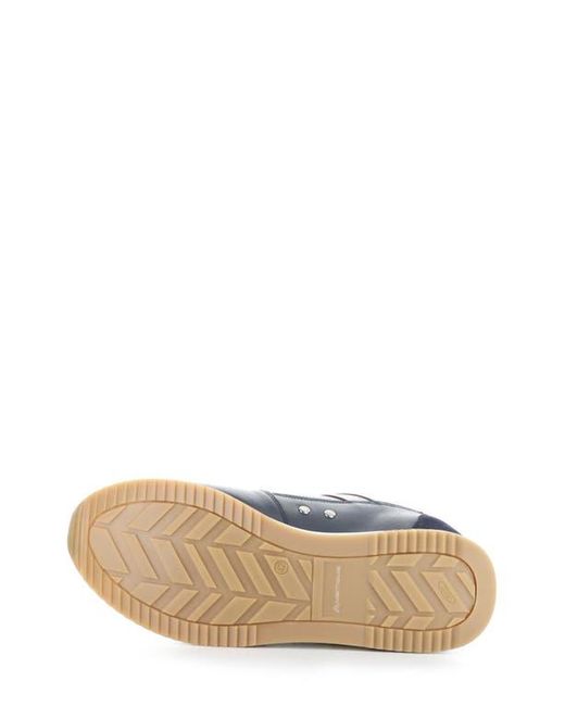 Ambitious Blue 11240 Perforated Sneaker for men