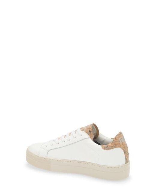P448 White Thea Platform Sneaker