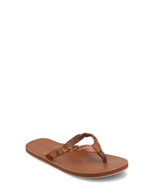 Journee Collection Brown Tomi Braided Flip Flop