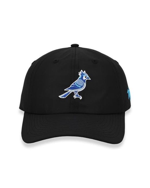 Waggle Black Jay Flight Baseball Cap for men
