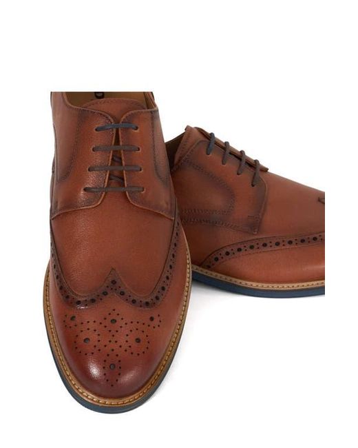 Dune Brown Stanford Wingtip Derby for men