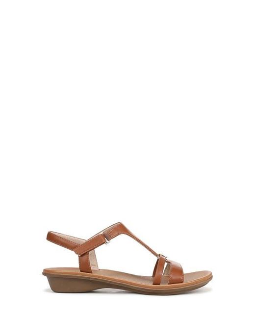 Naturalizer Brown Sofia Sandal