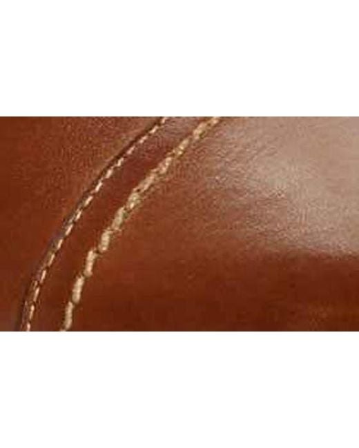 Sandro Moscoloni Brown 'Whitman' Cap Toe Derby for men