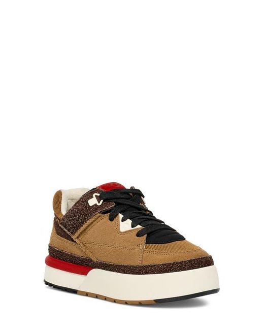 Ugg Black Goldencush Sneaker