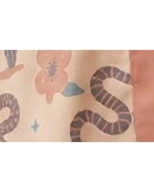 Saachi Brown Cactus Short Topper