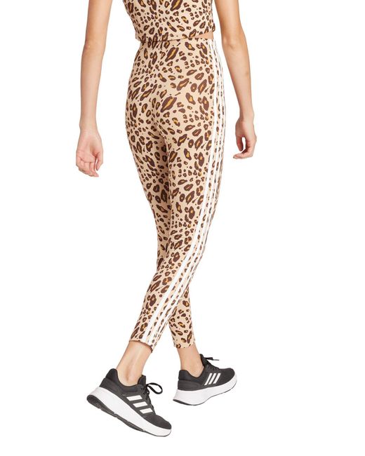 adidas 3-stripes Leopard Print High Waist Leggings