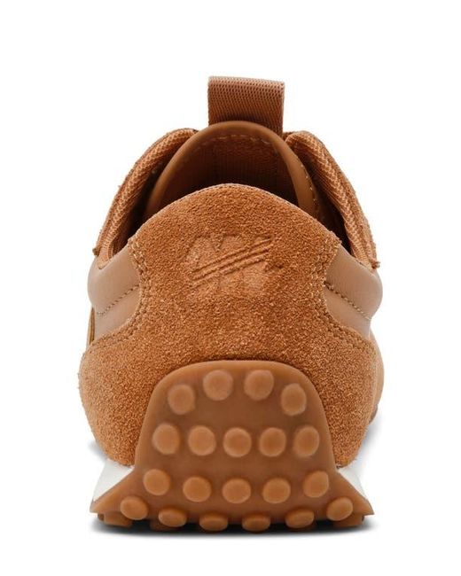 Steve Madden Brown Casper Sneaker