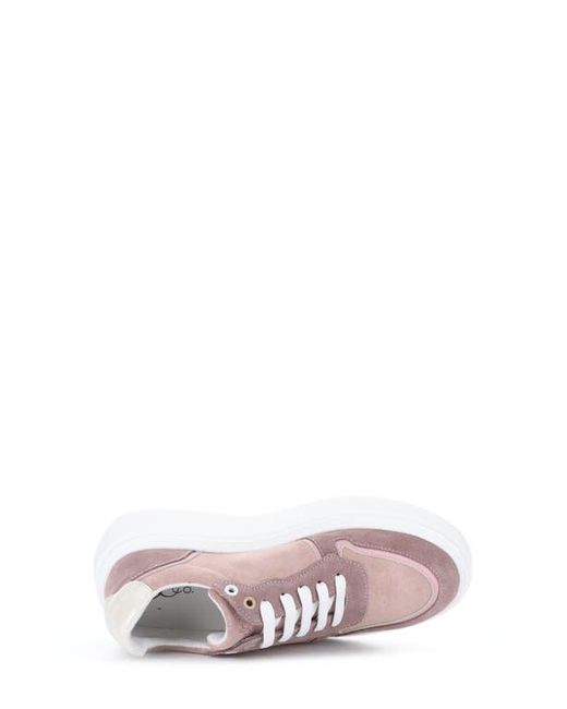 Bos. & Co. Pink Fulton Colorblock Platform Sneaker