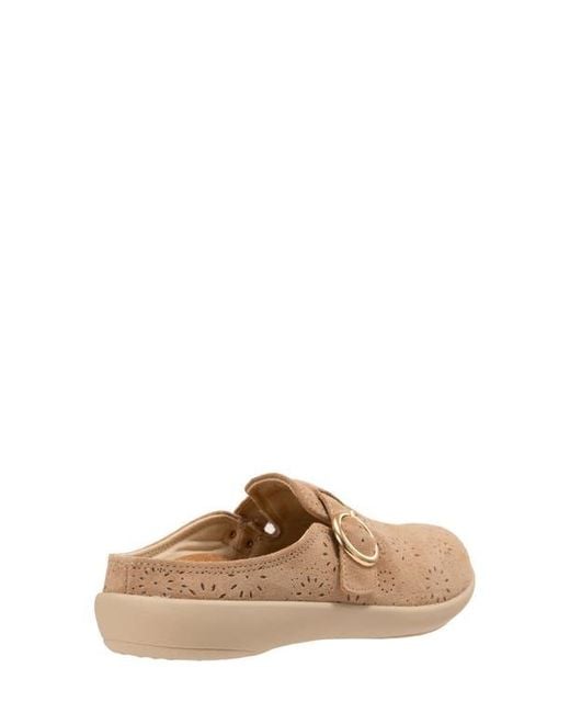 Revitalign Natural Siesta Eclipse Clog