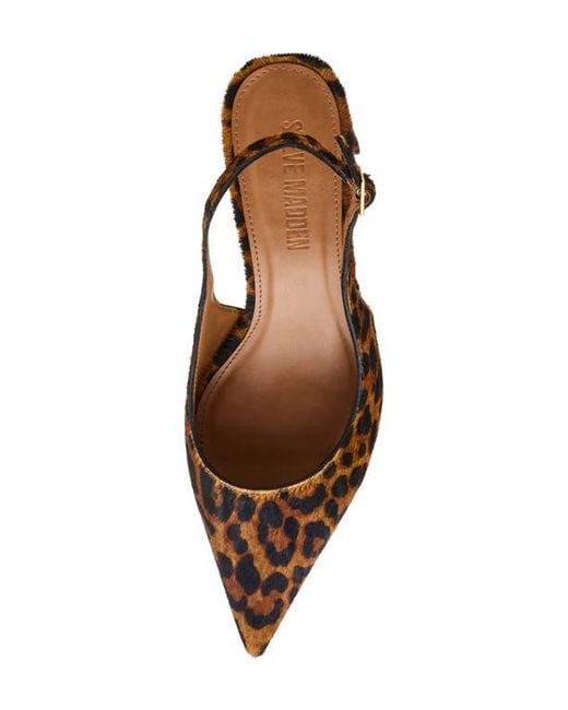 Steve Madden Brown Robyn Pointed Toe Slingback Pump