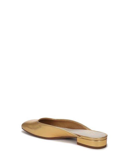 Franco Sarto Multicolor Dayla Mule