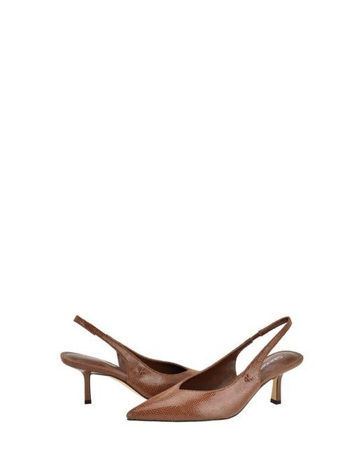 Calvin Klein Brown Chellie Pointed Toe Slingback Pump