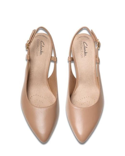 Clarks Multicolor Slingback Leather Pointy-Toe Pumps