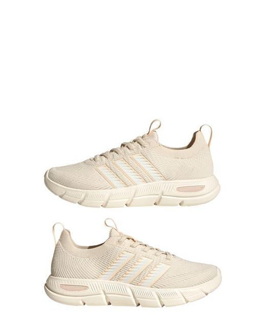 Adidas Natural Cloudfoam Flex Sneaker