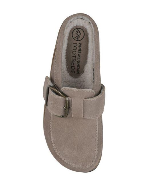 White Mountain Gray Bueno Mule