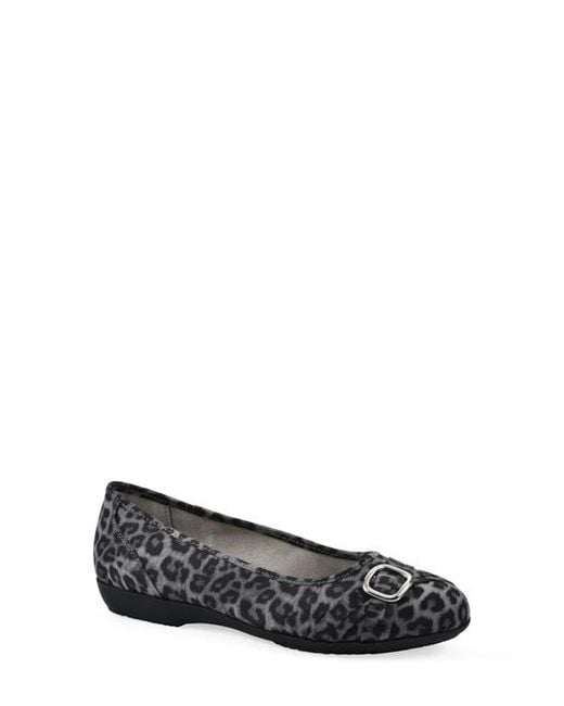 White Mountain Black Calming Buckle Strap Flat