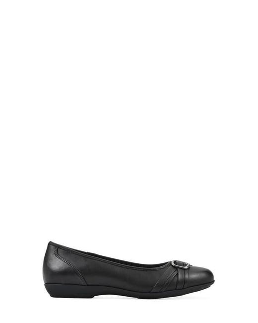 White Mountain Black Calming Buckle Strap Flat