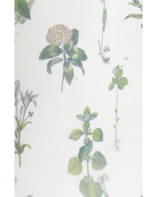 Ted Baker White Avarose Floral Print Ruffle Top