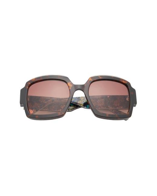 Ted Baker Brown 55Mm Square Sunglasses